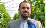 جناب  استاندار بوکسیت سرفاریاب همه چنان برمدار استخراج وانتقال می چرخد، چاره ای بیندیشید