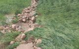خسارت شدید به زمین های کشاورزی روستای شیخ حسین چرام