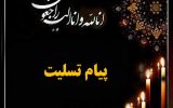 پیام تسلیت مدیر کل دفتر امورشهری وشوراهای استانداری درپی درگذشت مهندس سیروس محسنی