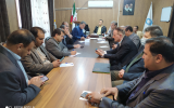 فرایند تولید نان کامل در استان در انتظار تعیین قیمت نهایی
