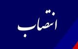 بخشدارجدید سرفاریاب منصوب شد/+حکم